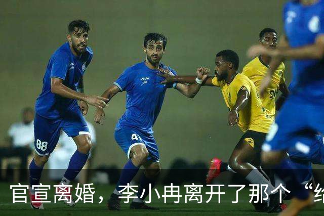 官宣离婚，李小冉离开了那个“给你五个亿让你作”的男人
